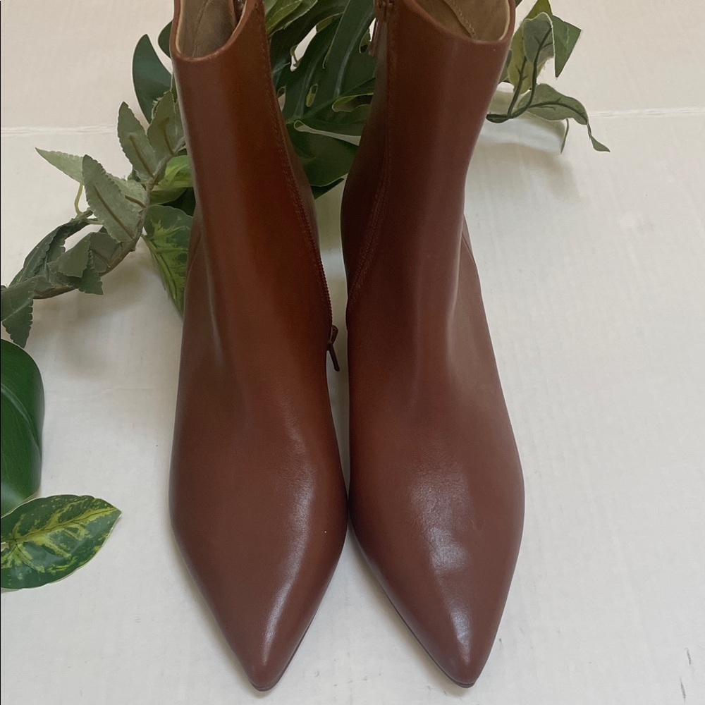 Steve Madden Neven - Brown Ankle Booties